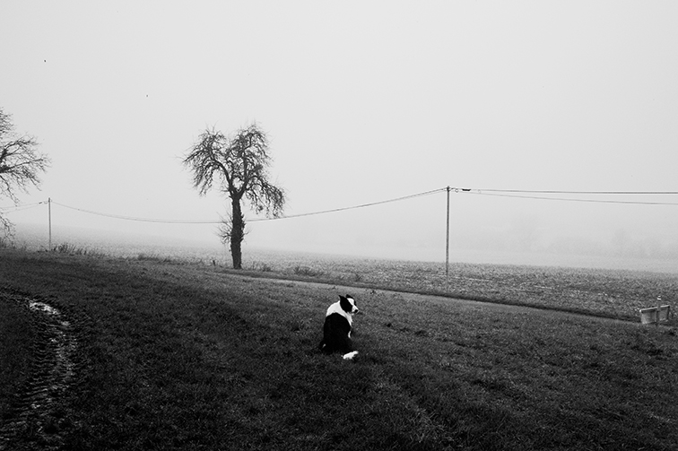 http://www.julienmagre.fr/files/gimgs/109_l1021596.jpg
