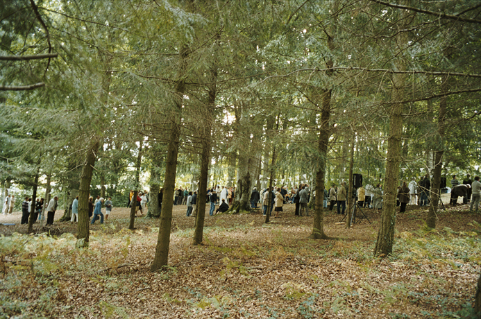http://www.julienmagre.fr/files/gimgs/19_002.jpg