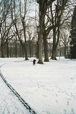 http://www.julienmagre.fr/files/gimgs/24_016-_v2.jpg