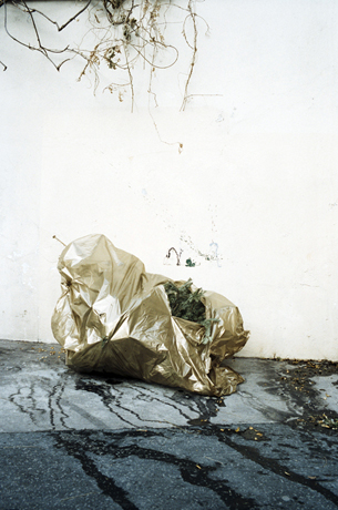 http://www.julienmagre.fr/files/gimgs/24_017_v2.jpg