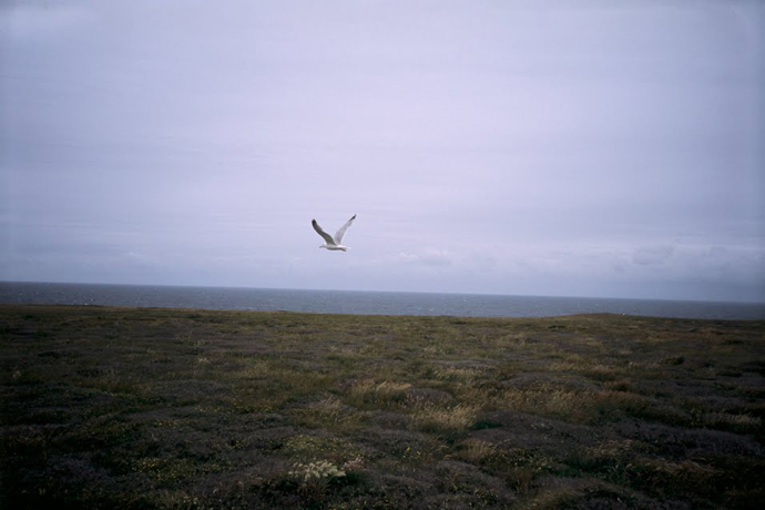 http://www.julienmagre.fr/files/gimgs/24_035.jpg