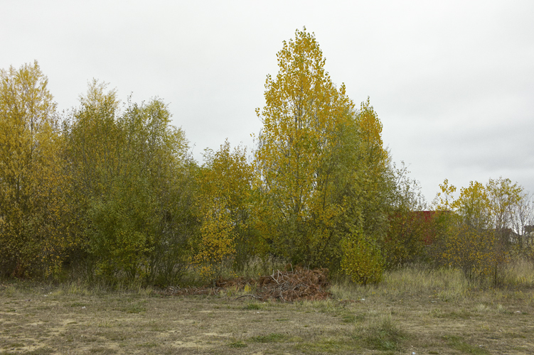http://www.julienmagre.fr/files/gimgs/74_l9996807-def1-rvb.jpg