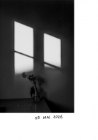 14_fleurs-2.jpg