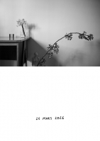 14_fleurs.jpg